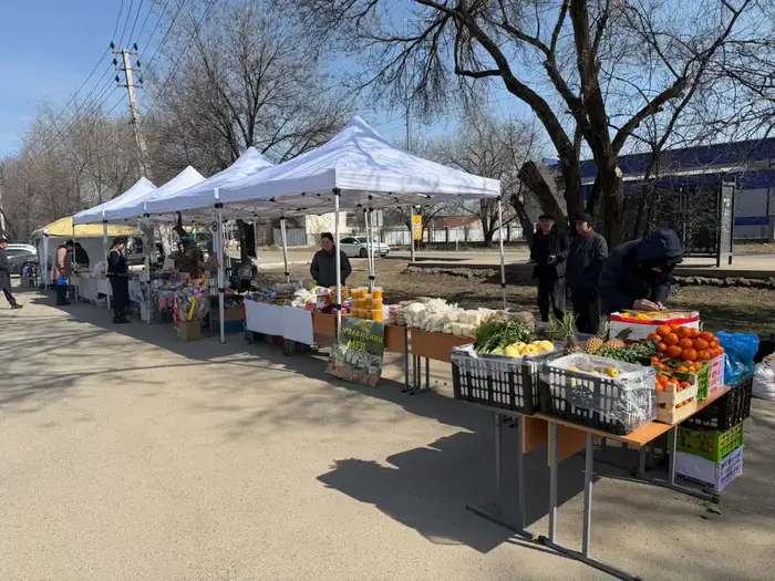 Сельхозпродукция на фоне голосования: ярмарка в Алатау объединила фермеров и граждан Уральске
