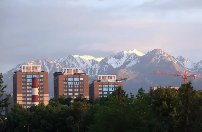 Весенний этап дератизации в Алматы Уральске