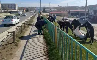 Сарыагаш объединился для уборки: жители и акимат провели общенациональный субботник