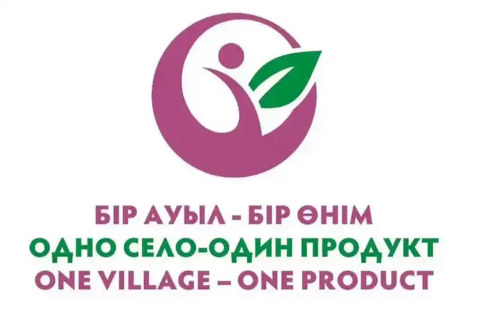 Новые возможности для ремесленников Карагандинской области: старт приёма заявок на гранты и выставки Уральске
