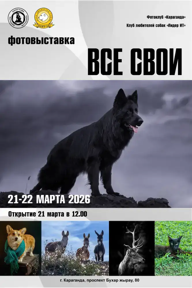 Фотовыставка животных и выставка собак открылись в Караганде Уральске
