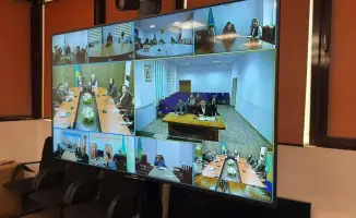 Саранча под контролем: МСХ РК и ФАО объединяются!