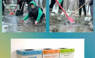 Глобальные инициативы по охране окружающей среды: пример Казахстана