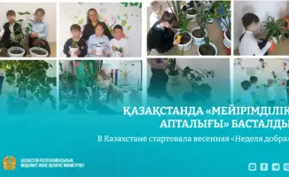Весенний цветок доброты распускается в Казахстане