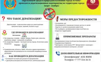 Грызуны в Астане: весенний фронт открывается!