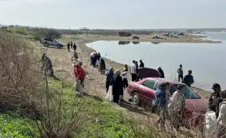 ТУРКЕСТАН: ЧИСТЫЕ БЕРЕГА РЕКИ СЫРДАРЬЯ — ПЛОДЫ АКЦИИ «МӨЛДІР БҰЛАҚ»