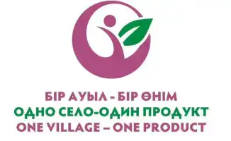 Новые возможности для ремесленников Карагандинской области: старт приёма заявок на гранты и выставки