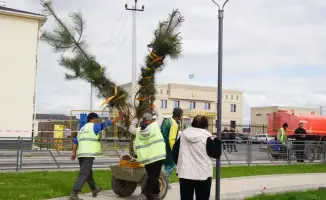 Более 300 участников очистили село Темирлан: высажено 1200 саженцев, вывезено 16 тонн мусора