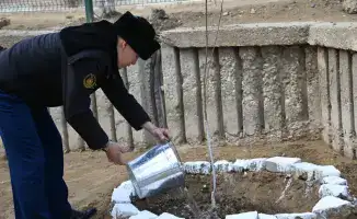 Военнослужащие проводят экологические акции по посадке деревьев в гарнизонах