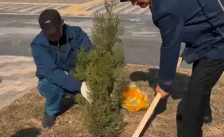Посадка саженцев родителями в школах Келешек мектептері