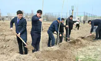 Высадка 5 тысяч саженцев в Жетысайском районе: вклад в экологическое обновление и устойчивое развитие