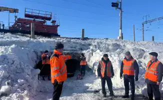 На железнодорожных путях Акмолинской области проверили защитные щиты от паводков