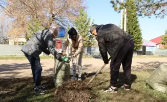Экологическая акция "Таза аула" привлекла внимание жителей Костанайской области
