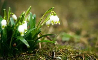 Сильные дожди и заморозки в Казахстане: возможные последствия для сельского хозяйства и инфраструктуры