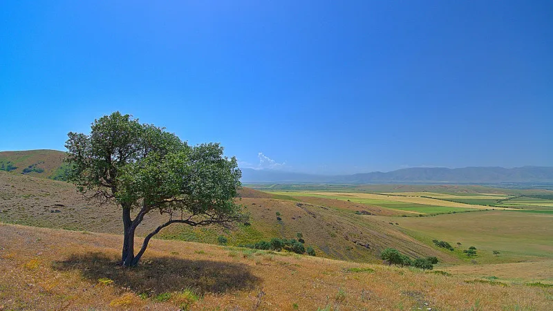Казахстан в объятиях летнего зноя: синоптики предсказывают 32 градуса тепла на выходные Уральске