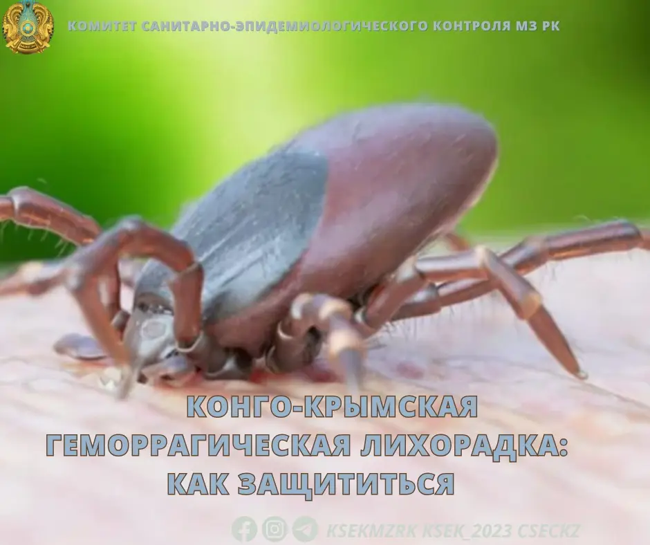 В Конго зарегистрированы случаи геморрагической лихорадки: меры предосторожности Уральске