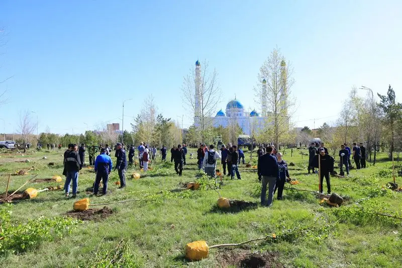 «Таза Қазақстан»: в этнопарке Караганды высадили 1500 деревьев (5)