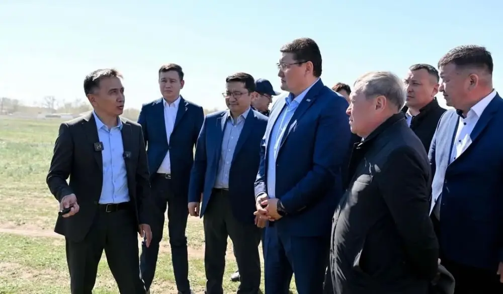 В Абайской области началась подготовка к химобработкам против саранчовых вредителей Уральске