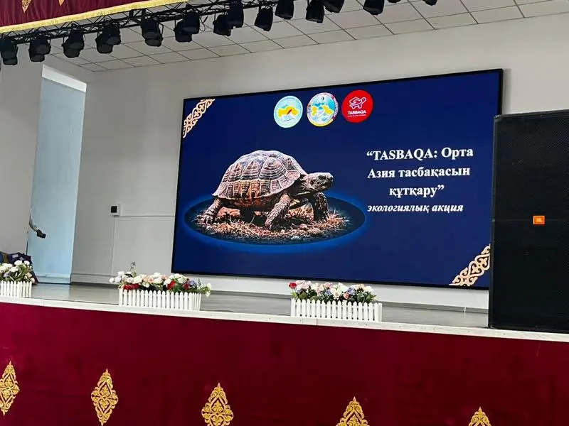 Юные экозащитницы из Балхаша стали призёрами республиканского конкурса (3)