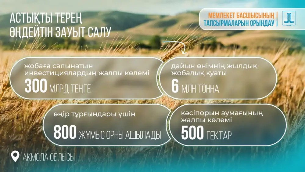 Казахстан привлекает инвестиции в агропромышленность: новый завод по переработке зерна в Акмолинской области Уральске