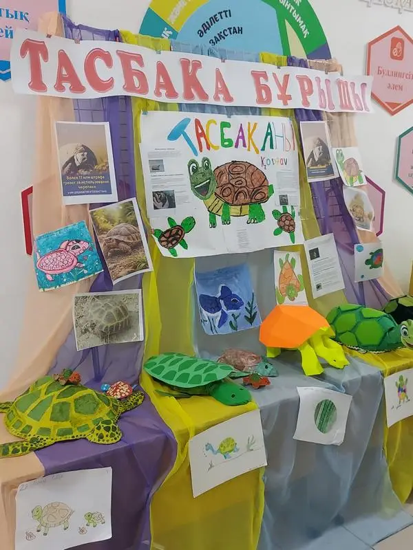 Юные экозащитницы из Балхаша стали призёрами республиканского конкурса (2)