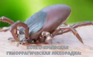 В Конго зарегистрированы случаи геморрагической лихорадки: меры предосторожности