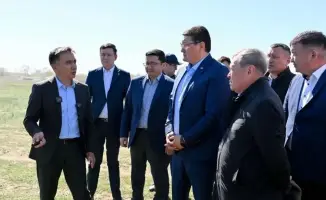 В Абайской области началась подготовка к химобработкам против саранчовых вредителей