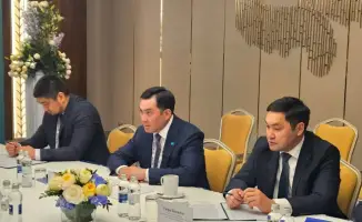 Казахстан стремится к устойчивому развитию через 'зеленую' экономику и международное сотрудничество в энергетике