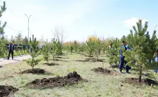 Международная инициатива по озеленению: 1500 деревьев высажены в Караганде
