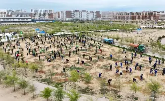 Сообщество Мангистау объединяется для озеленения города, высаживая 5000 деревьев