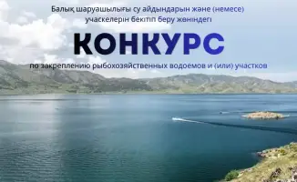 Конкурс на рыбохозяйственные водоемы: новые возможности и вызовы для региона