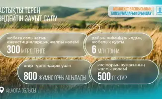 Казахстан привлекает инвестиции в агропромышленность: новый завод по переработке зерна в Акмолинской области