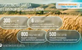 Зерно в золото: Казахстан запускает инвестиционный проект по переработке в Акмолинской области