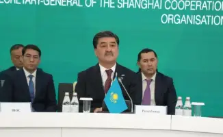 Союз природы: ШОС и ЮНЕП объединяются для защиты экосистемы региона