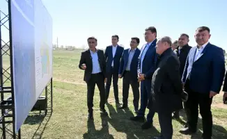 Международное сотрудничество в борьбе с саранчой: опыт Абайской области