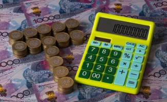 В Казахстане предлагают объединить налоги и социальные отчисления в единый платеж для улучшения социальной защиты граждан